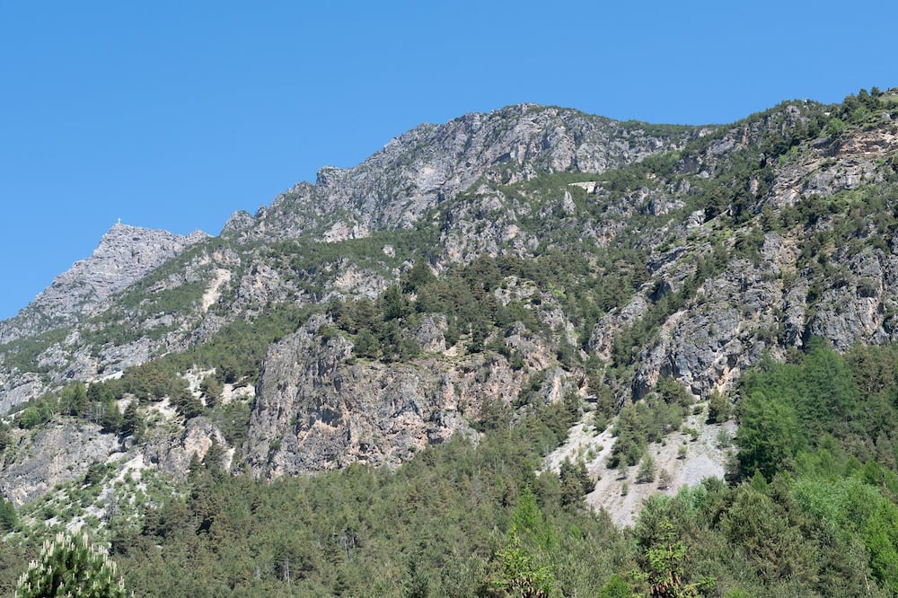 Photo of Others in Premadio