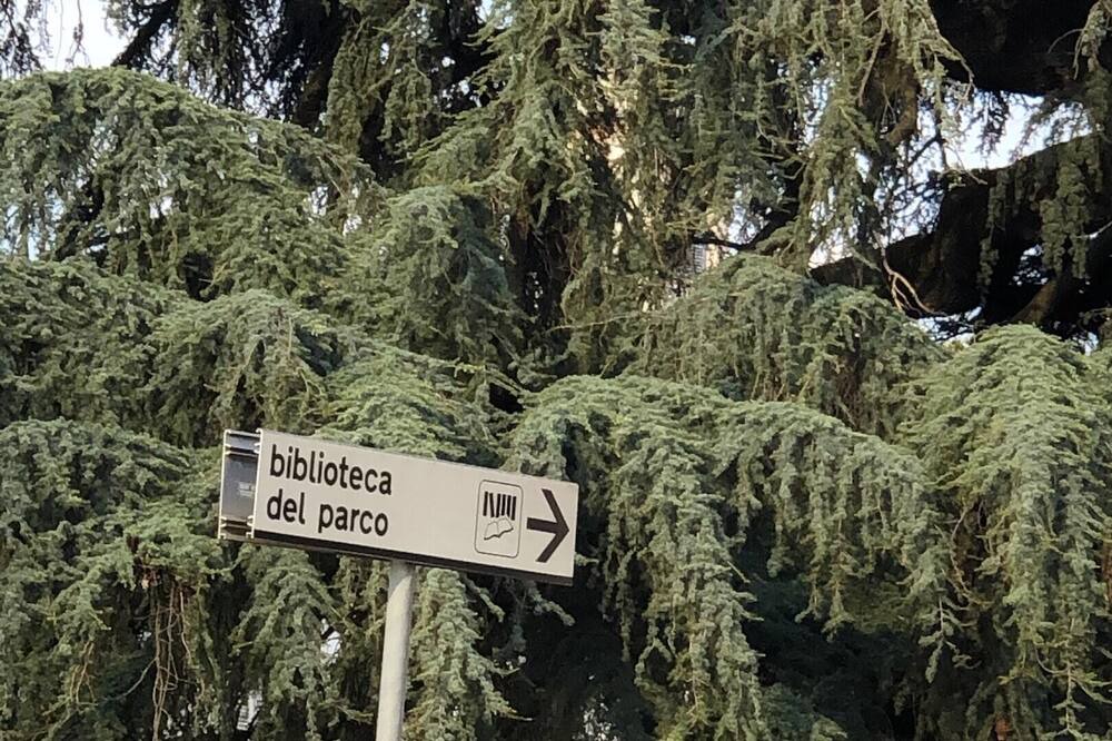 Photo of Others in Monza