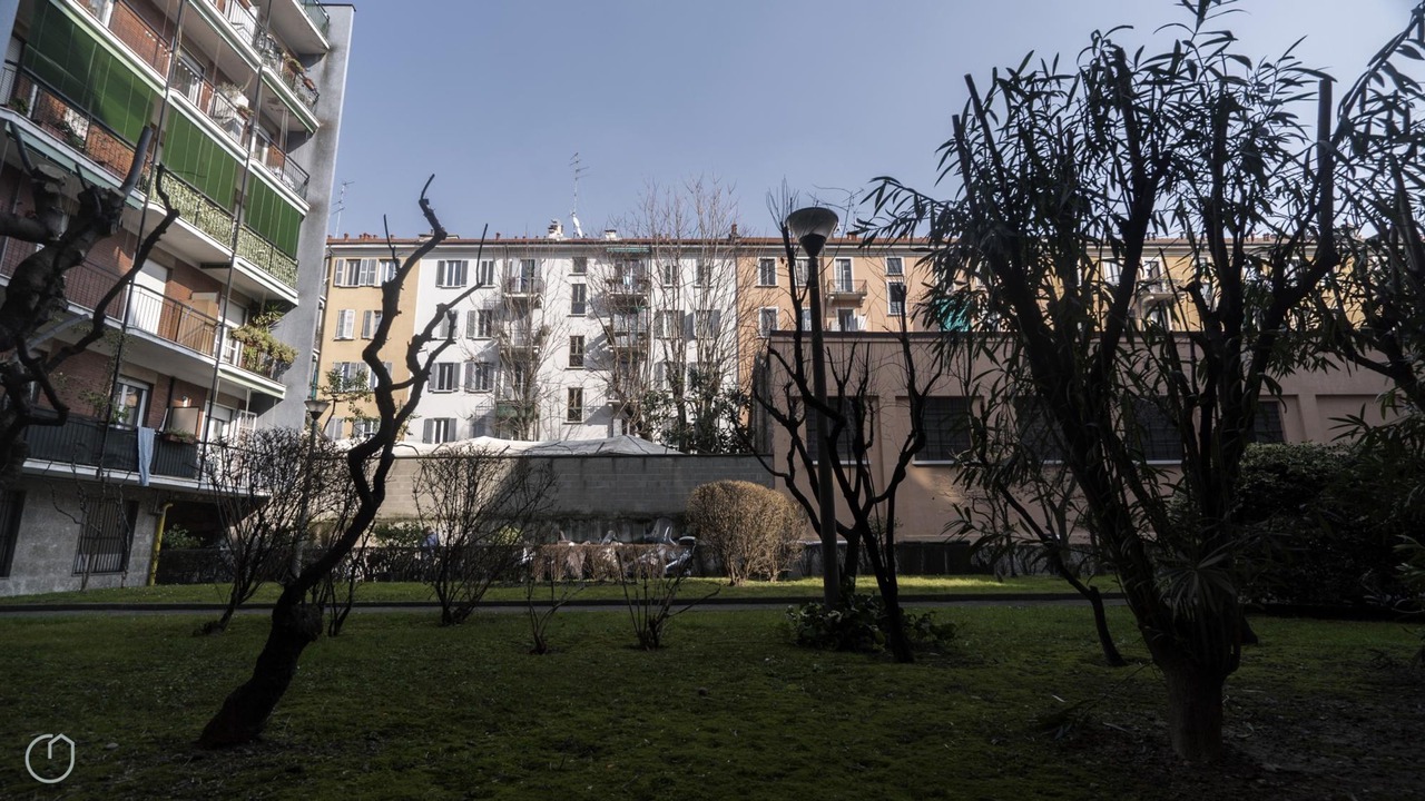 Photo of Others in Navigli