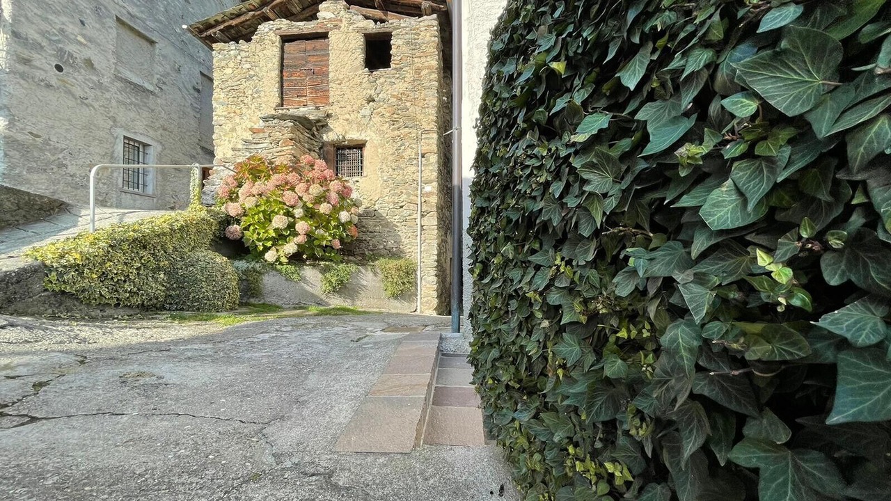 Photo of Outdoor in Mossini