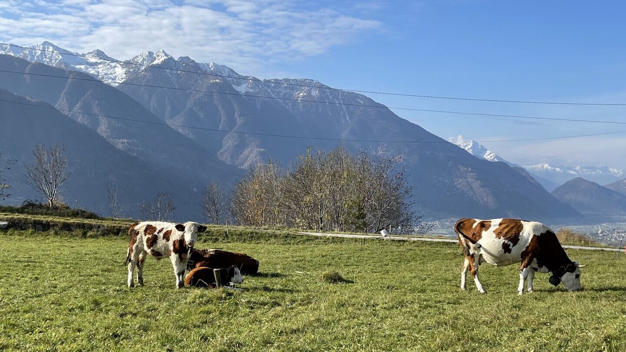 Photo of Outdoor in Mossini