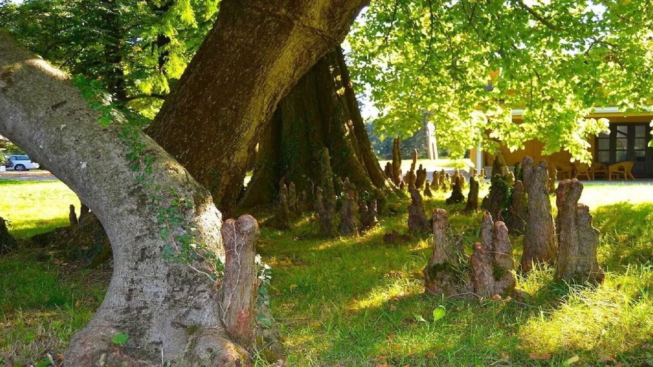 Photo of Outdoor in Annone di Brianza