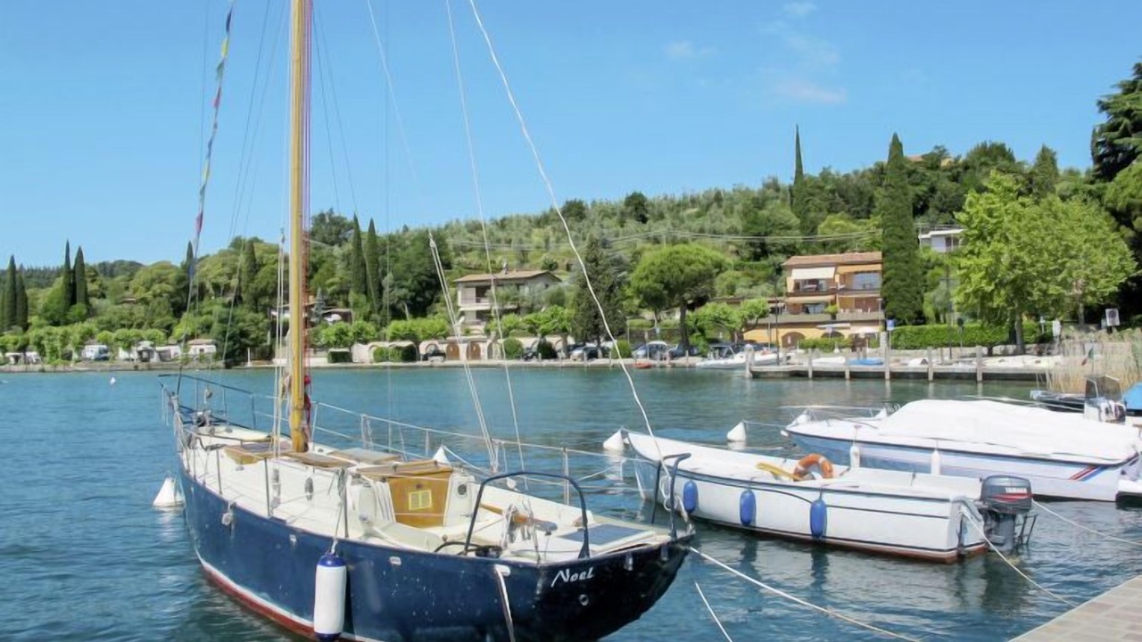 Photo of Others in Portese