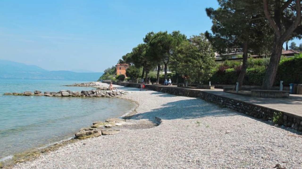 Photo of Others in Portese