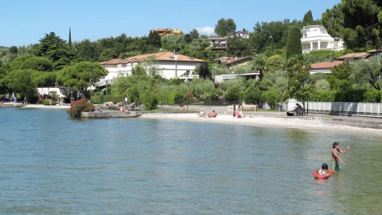 Photo of Others in Portese