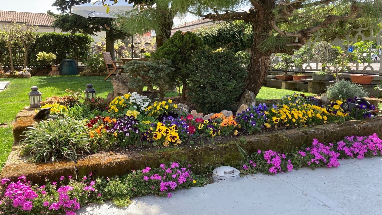 Photo of Outdoor in San Giorgio di Mantova