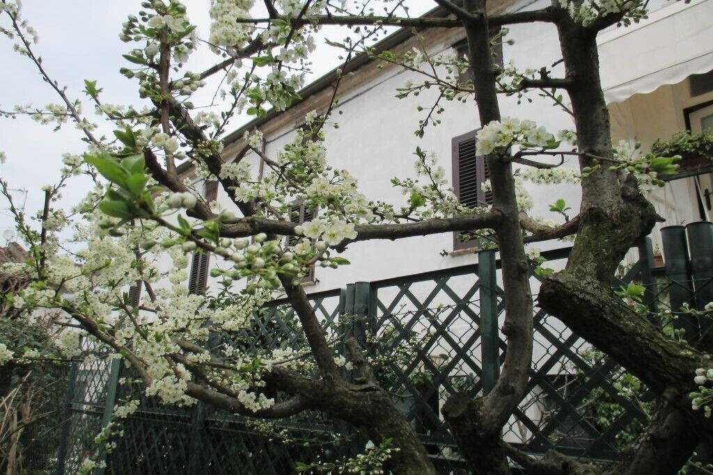 Photo of Outdoor in Canneto sull'Oglio