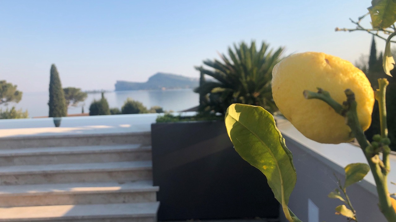 Photo of Outdoor in San Felice del Benaco