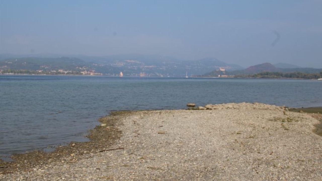 Photo of Others in Lisanza