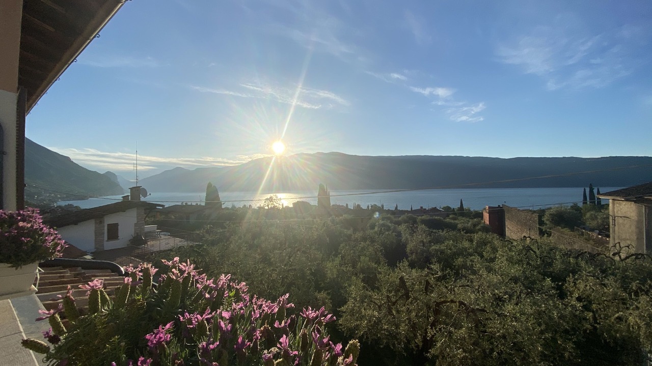Photo of Outdoor in Roina