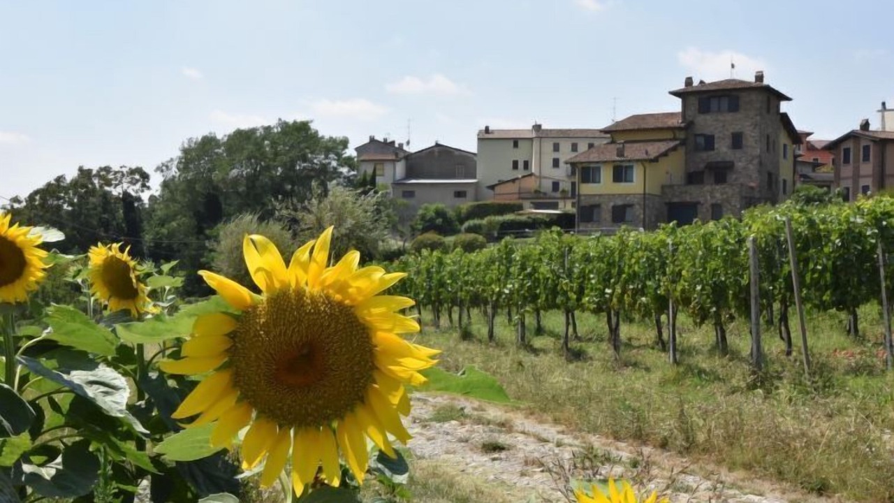 Photo of Outdoor in Castana