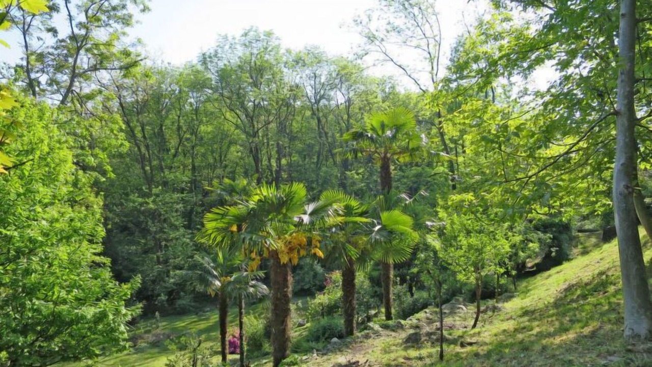 Photo of Outdoor in Arolo