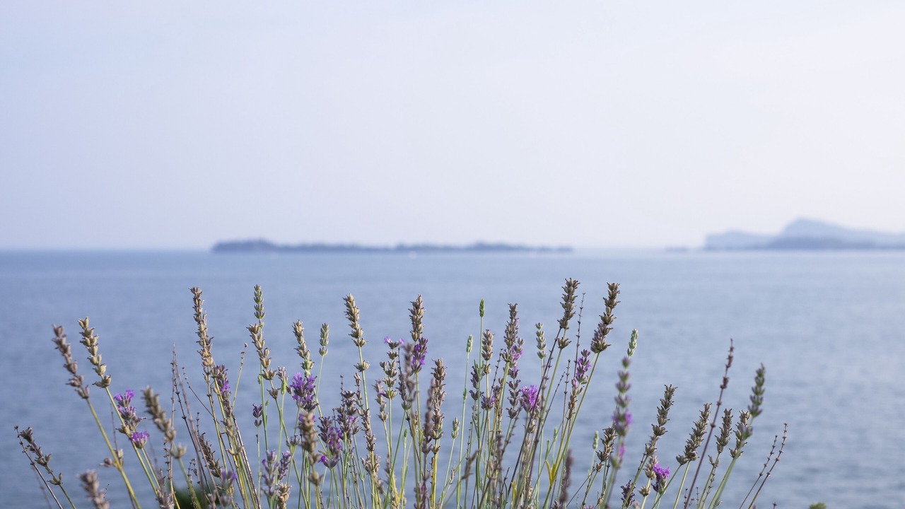 Photo of Outdoor in Gardone Riviera