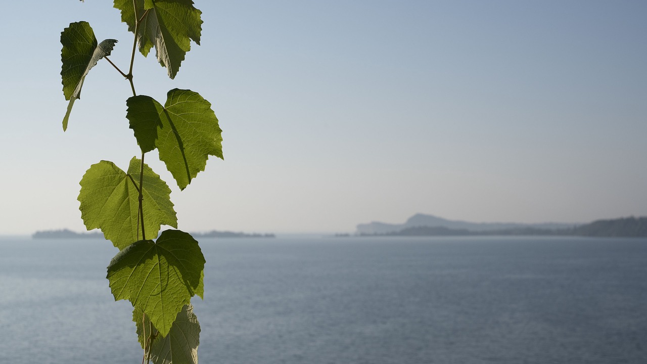 Photo of Outdoor in Gardone Riviera