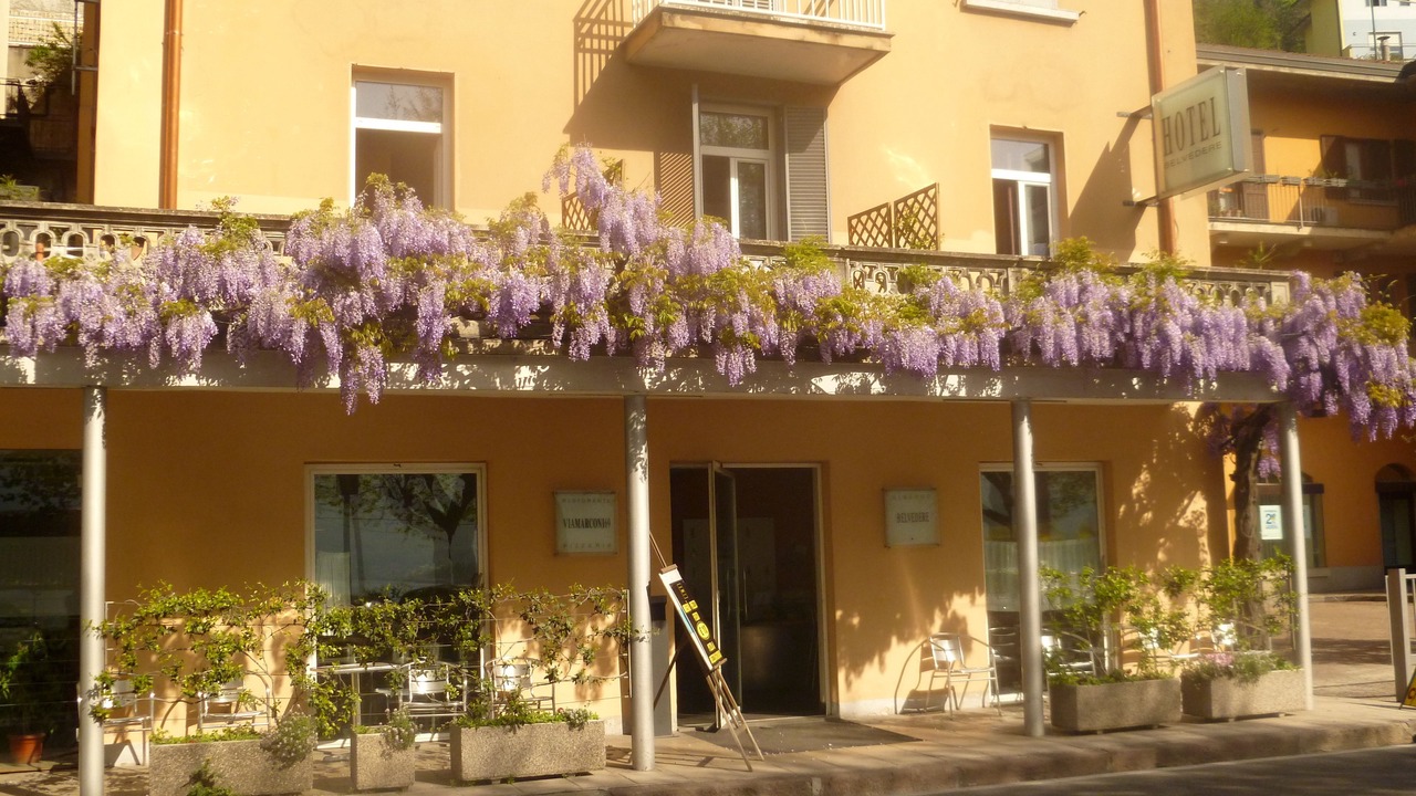 Photo of Outdoor in Lovere