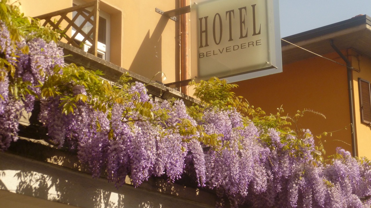 Photo of Outdoor in Lovere