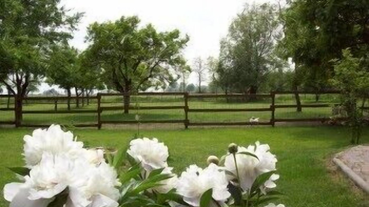 Photo of Outdoor in Certosa di Pavia