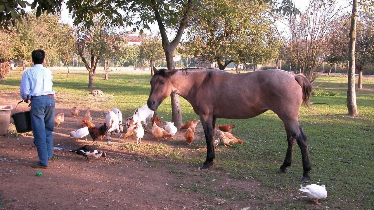 Photo of Others in Certosa di Pavia