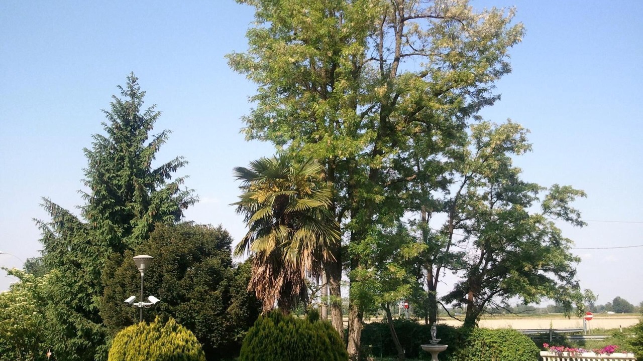 Photo of Outdoor in Rosate