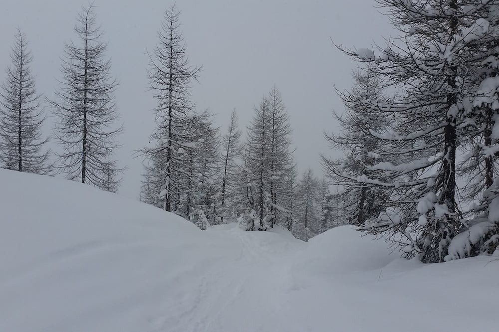 Photo of Others in Ornica