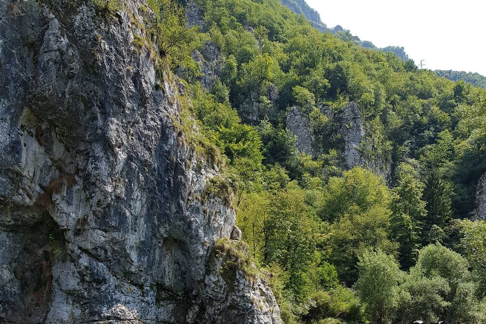 Photo of Others in Ornica