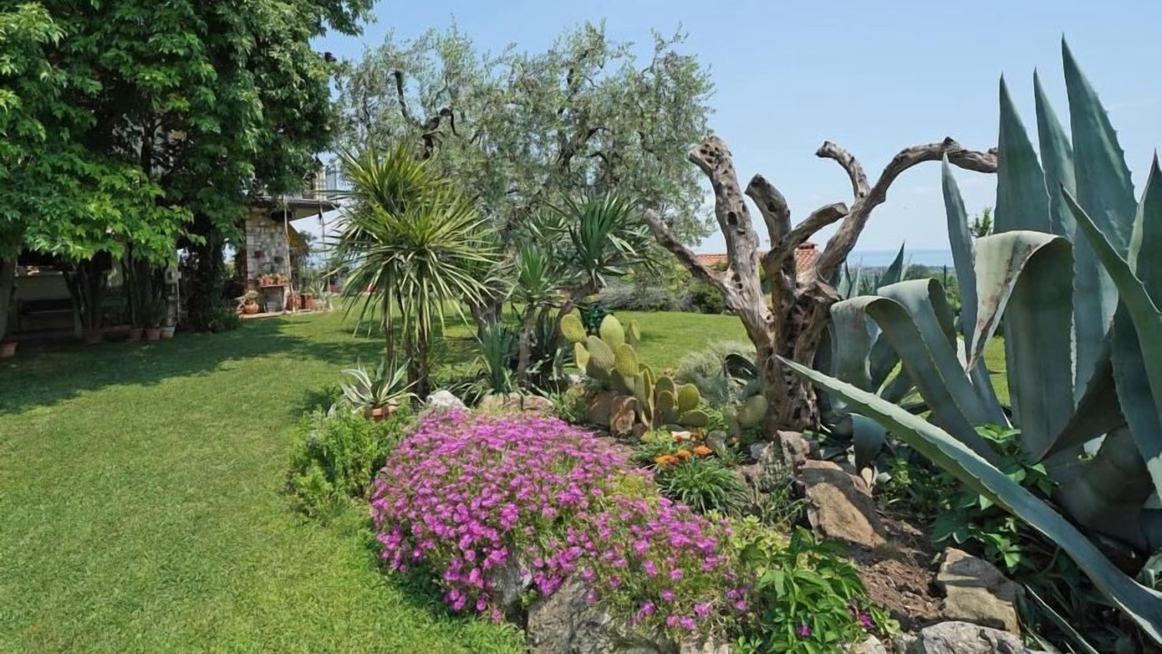 Photo of Outdoor in Castello