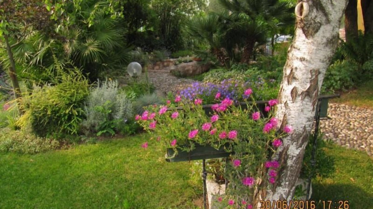 Photo of Outdoor in Castello