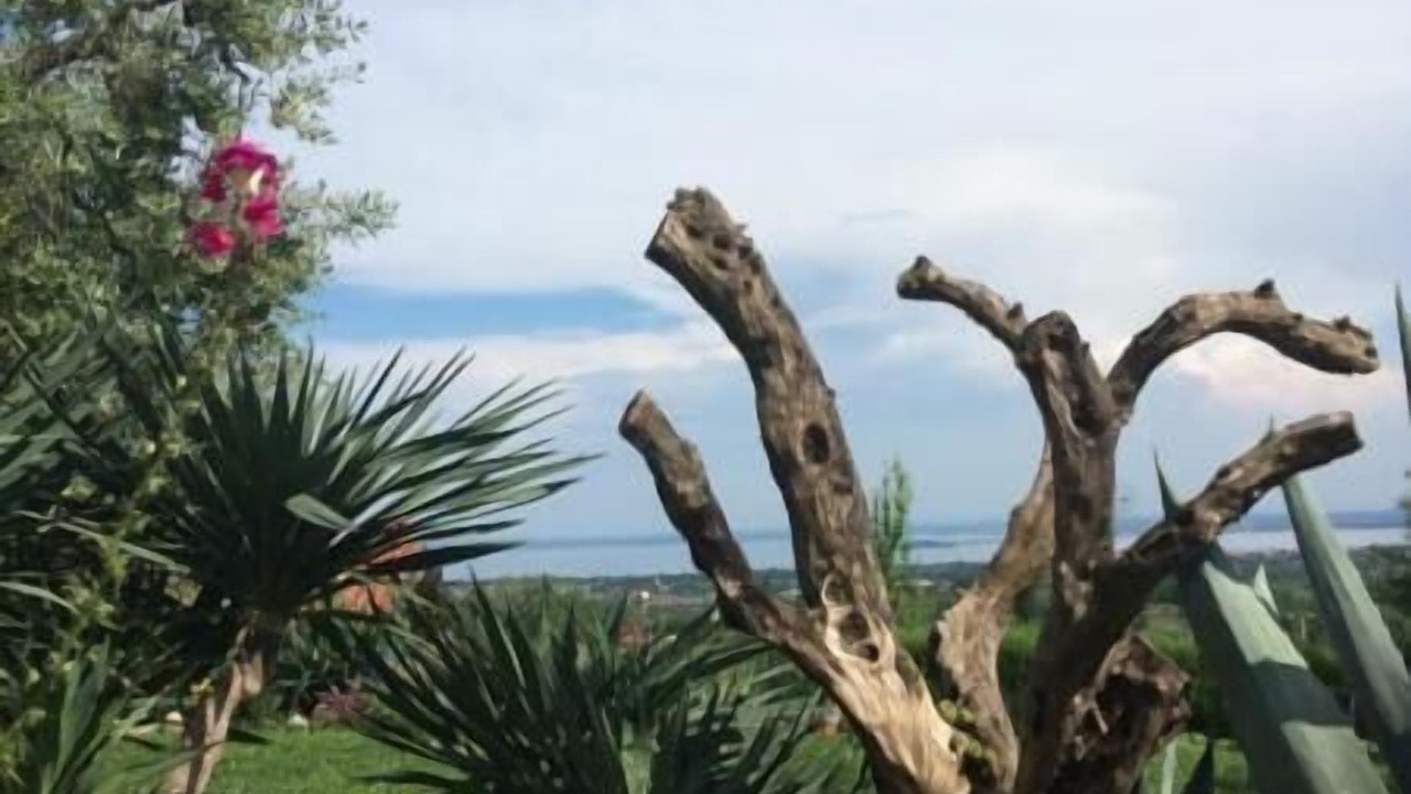 Photo of Outdoor in Castello