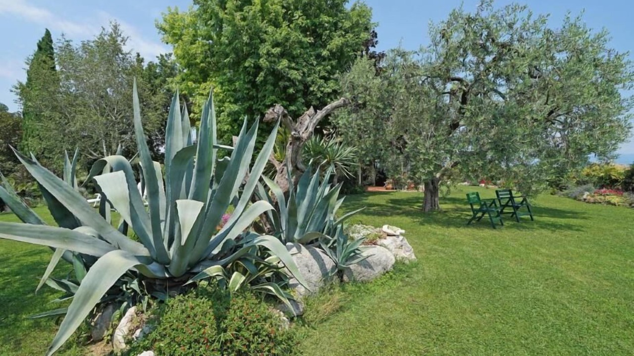 Photo of Outdoor in Castello