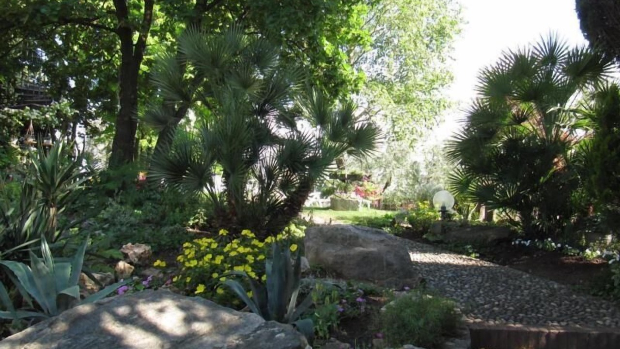 Photo of Outdoor in Castello