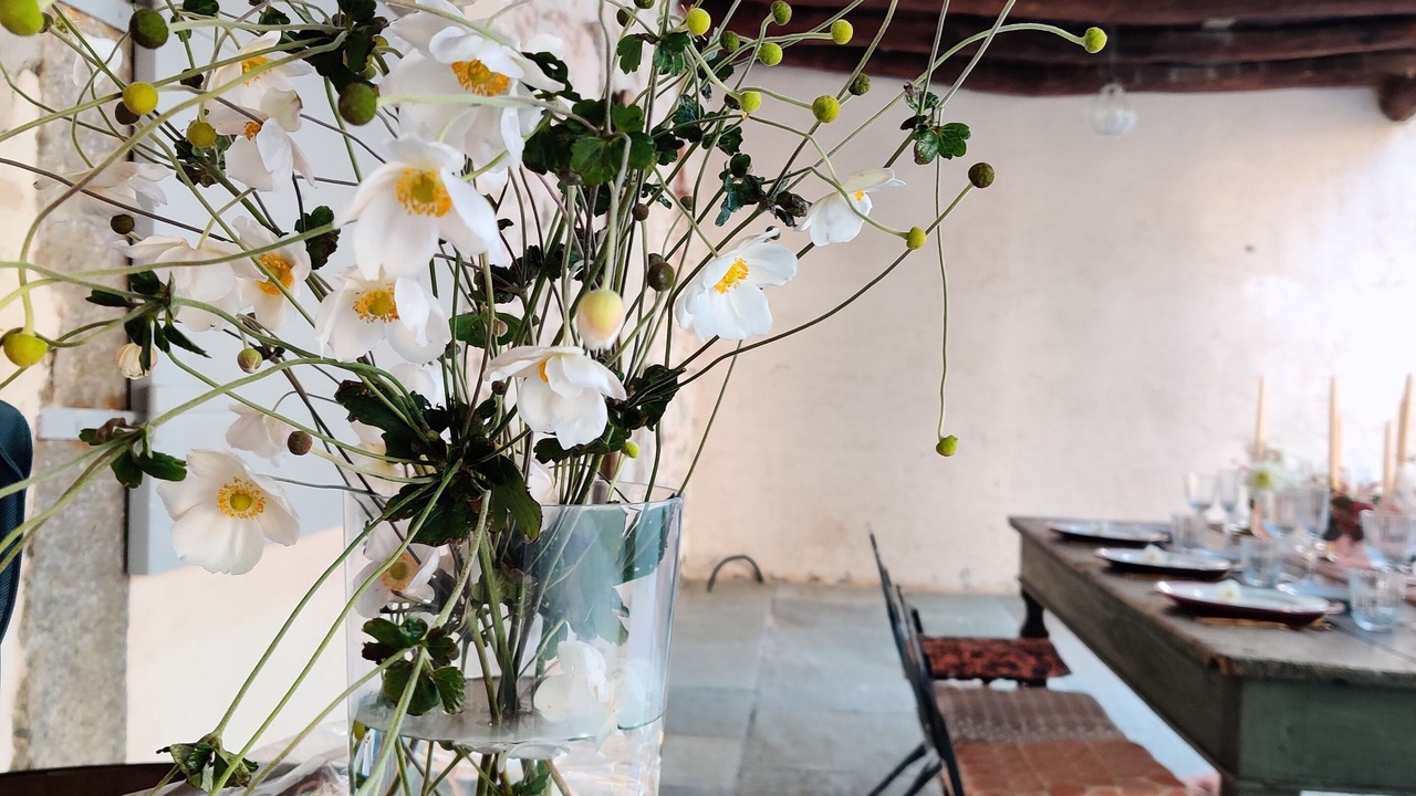 Photo of Outdoor in Villa Guardia