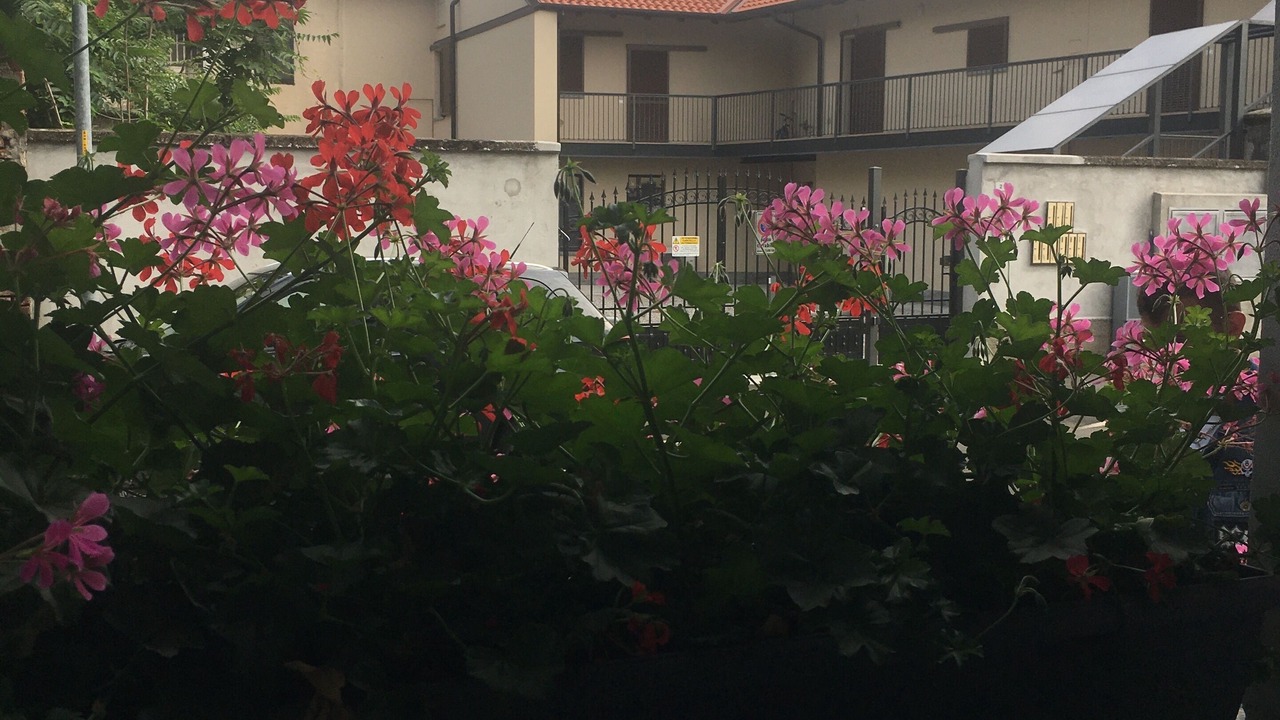 Photo of Outdoor in Rho