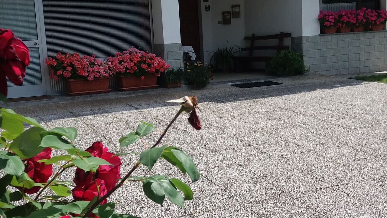 Photo of Outdoor in Cortinaccia