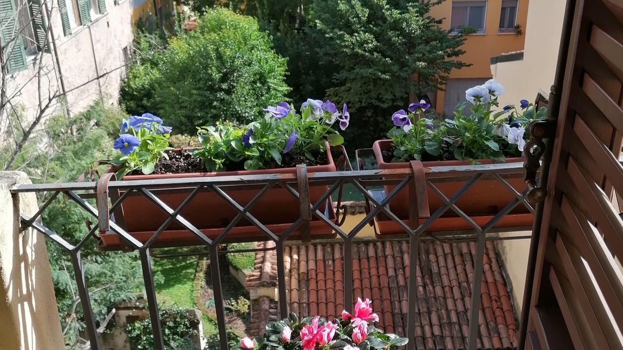Photo of Outdoor in Mantua