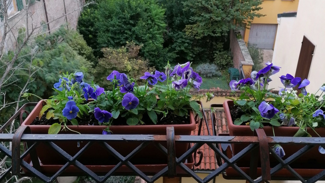 Photo of Outdoor in Mantua
