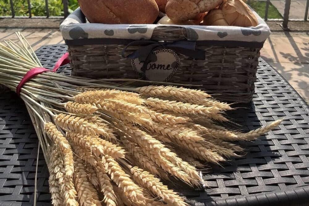 Photo of Outdoor in Tignale