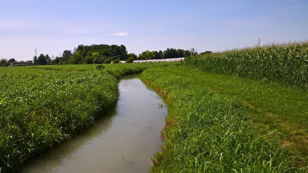 Photo of Outdoor in Mantua