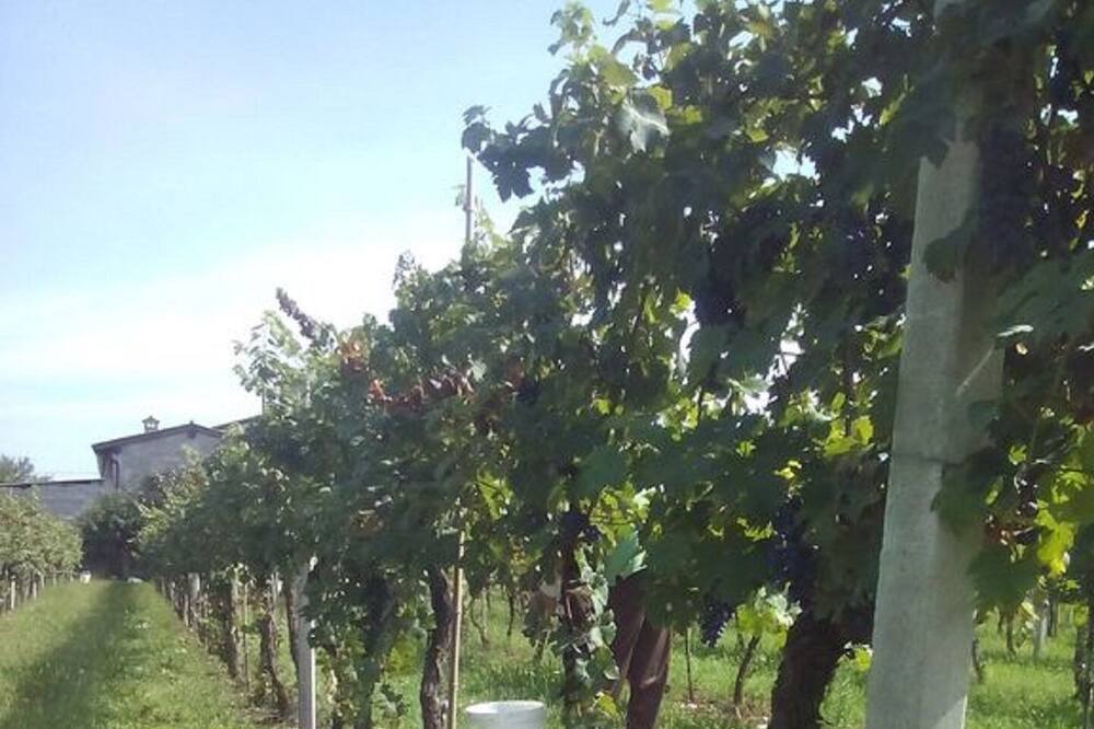 Photo of Outdoor in Volta Mantovana