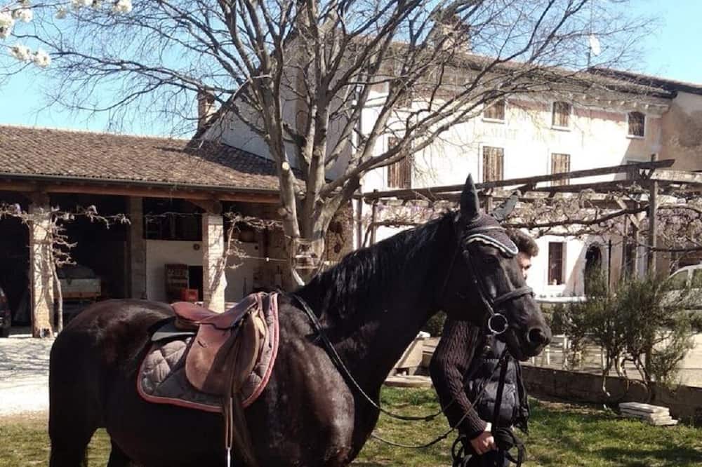 Photo of Outdoor in Volta Mantovana