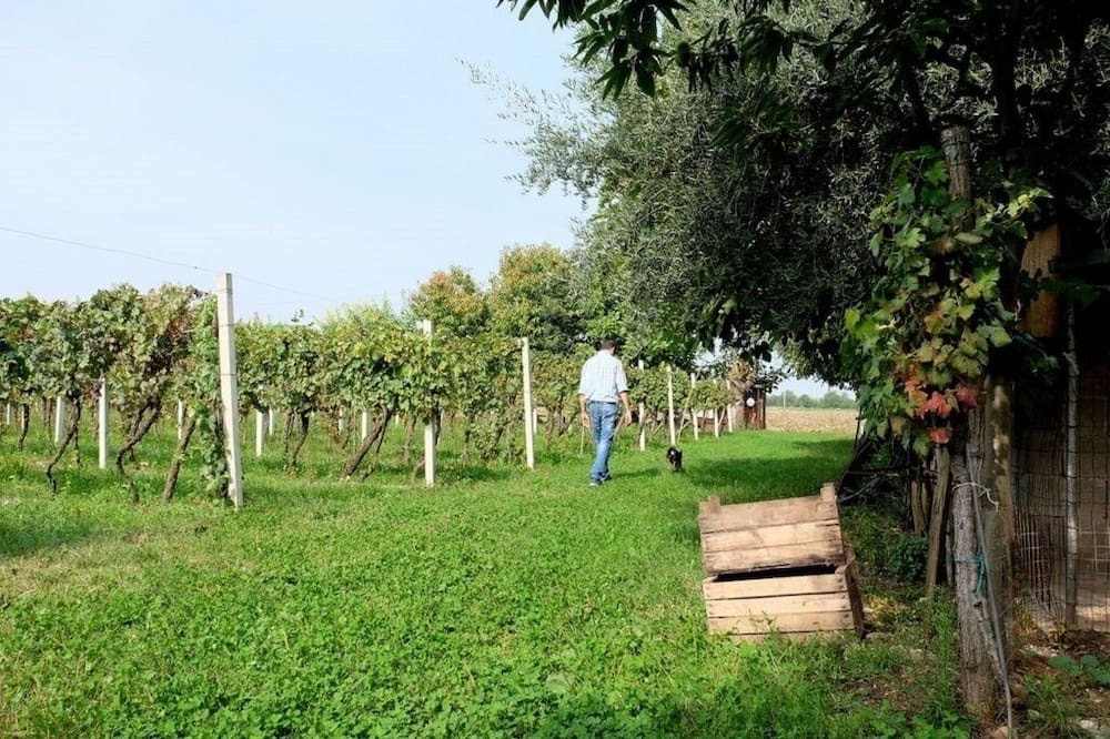 Photo of Outdoor in Volta Mantovana