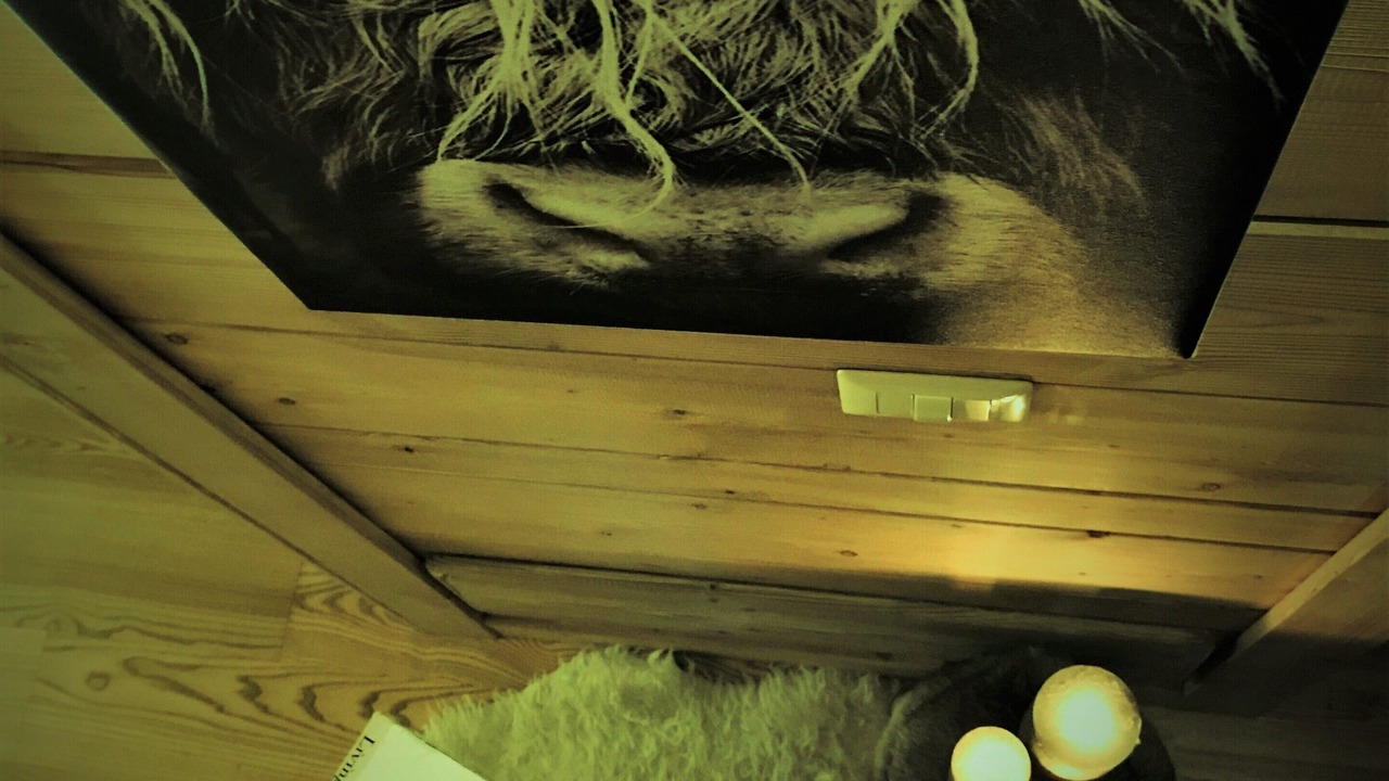 Photo of Bedroom in Valtellina