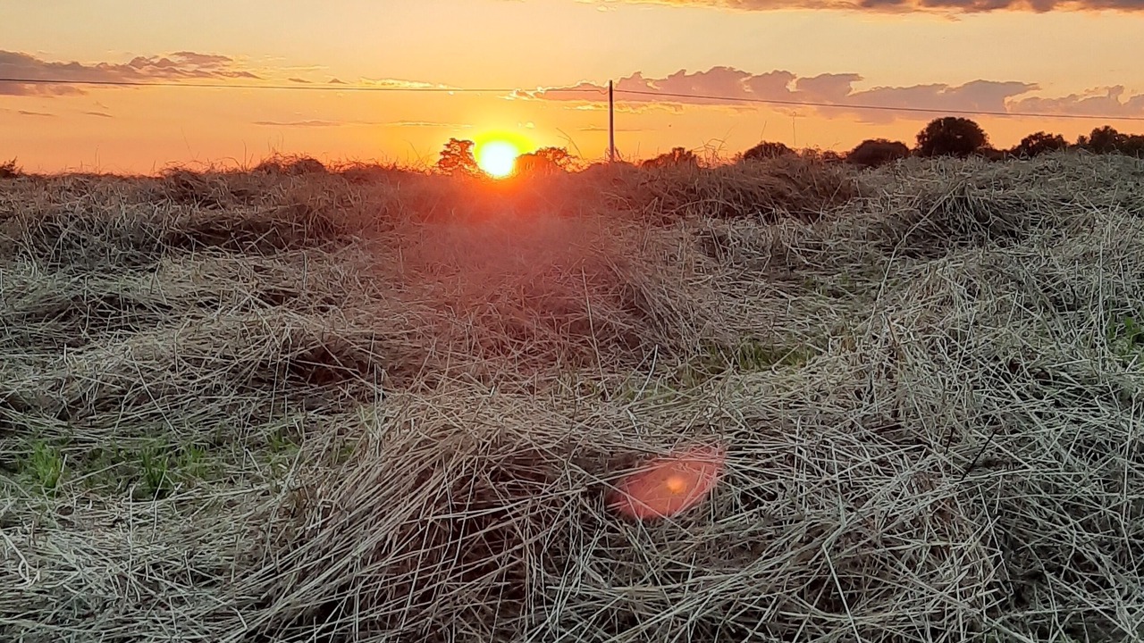 Photo of Outdoor in Monzambano
