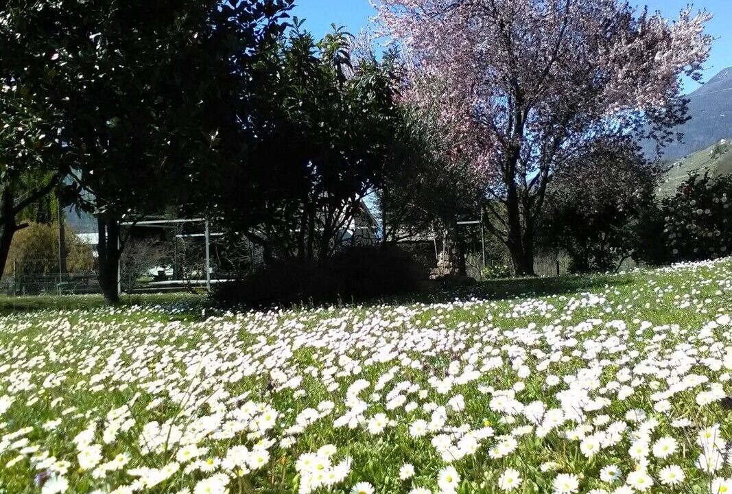 Photo of Outdoor in Poggiridenti