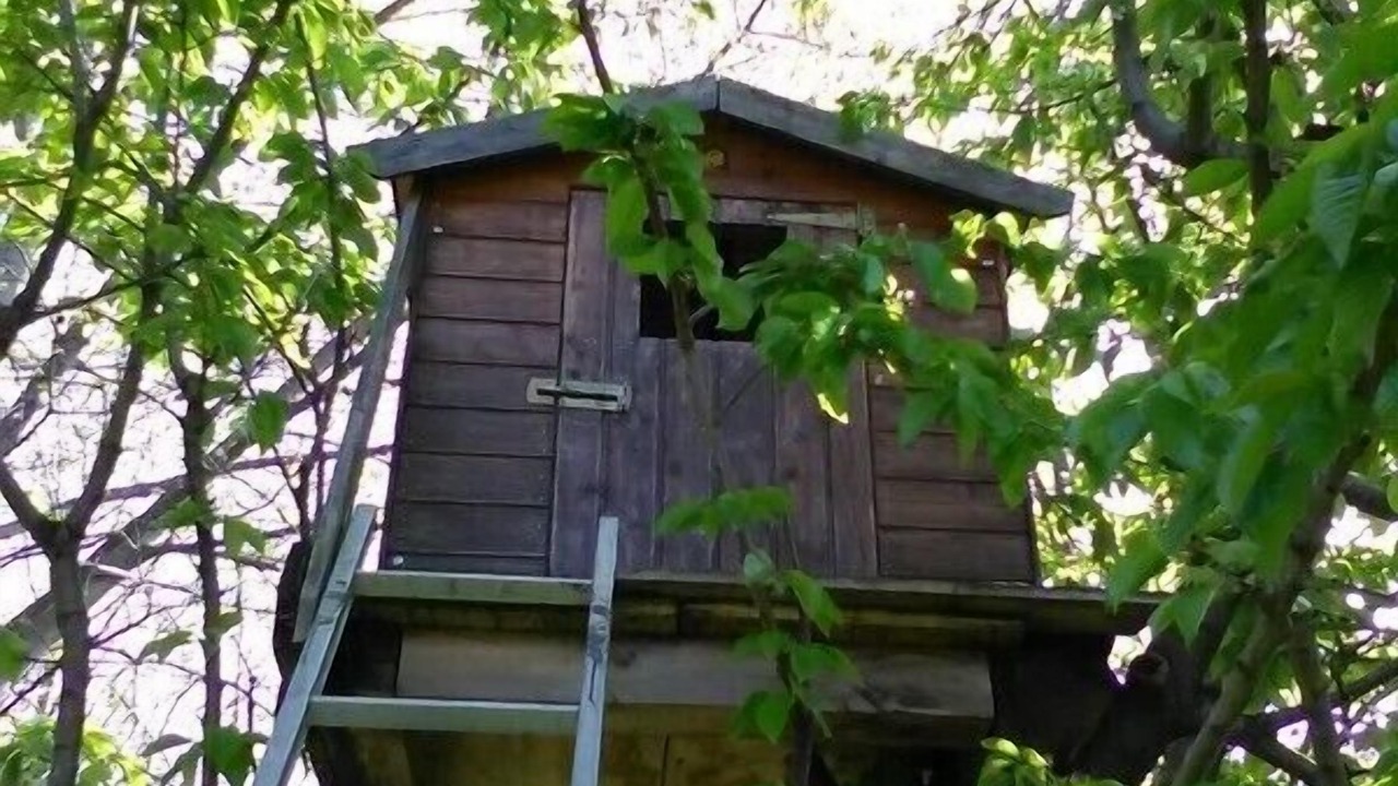 Photo of Outdoor in Poggiridenti