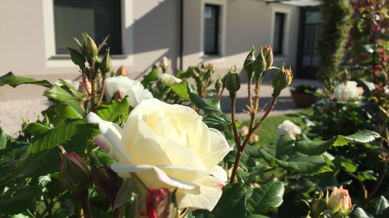 Photo of Outdoor in Asola