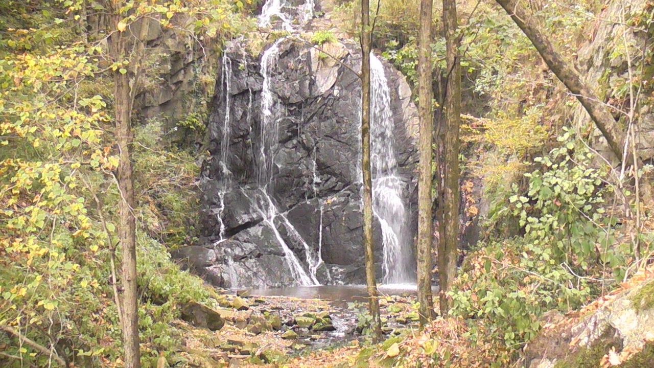 Photo of Outdoor in Brezzo di Bedero