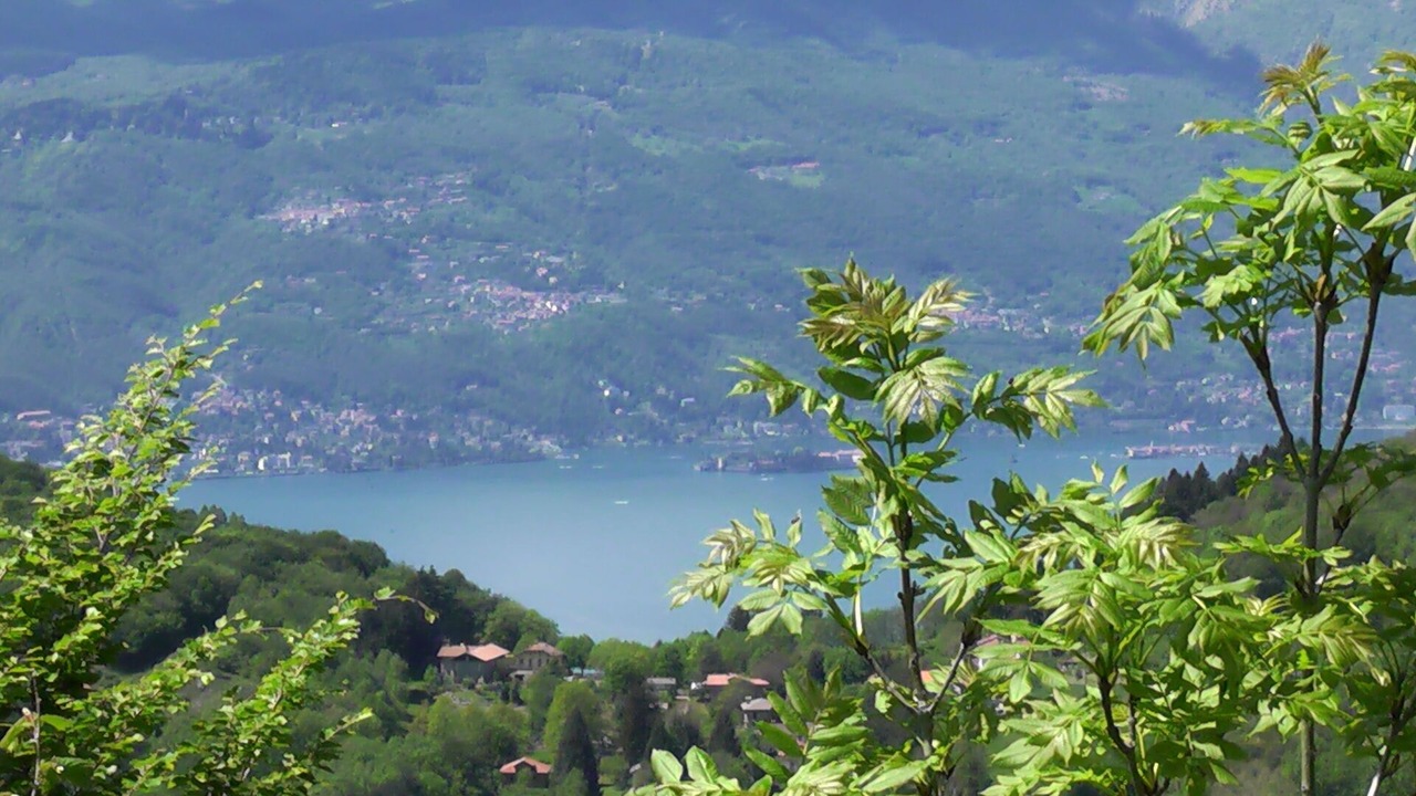 Photo of Others in Brezzo di Bedero