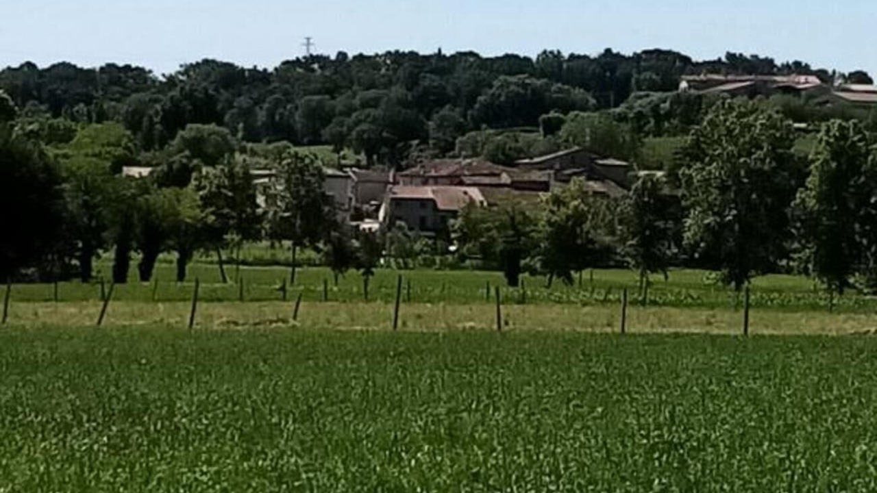 Photo of Others in Monzambano