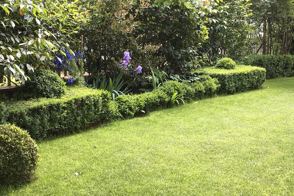 Photo of Outdoor in San Giuliano Milanese