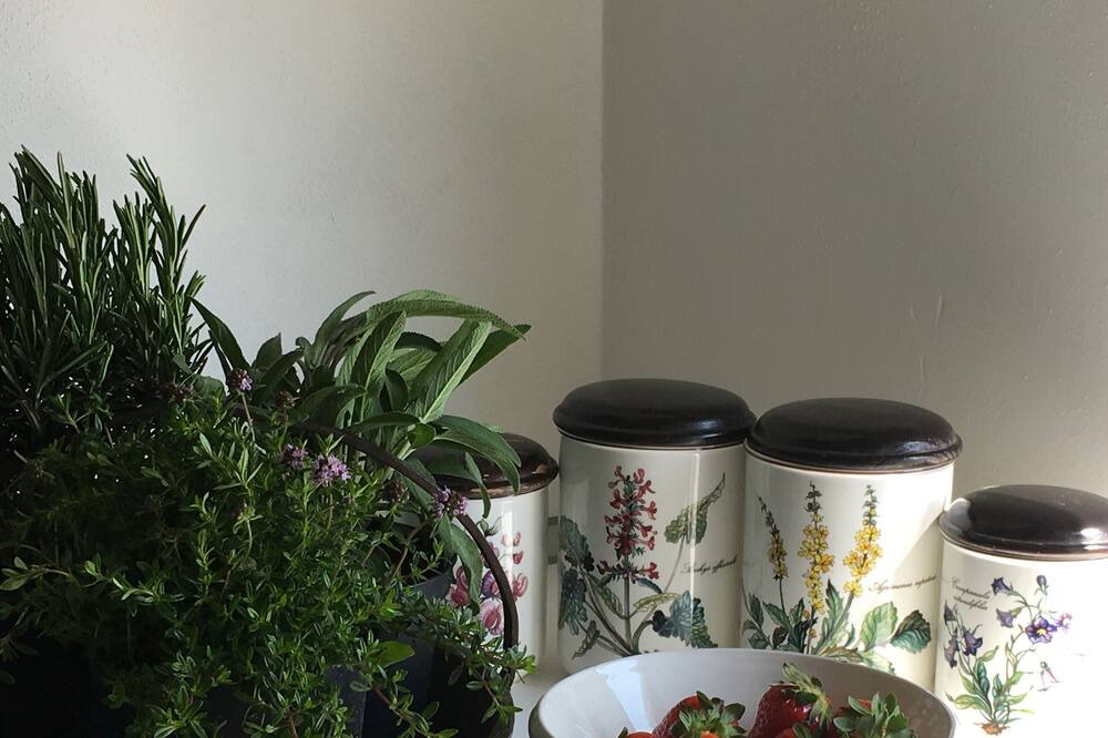 Photo of Kitchen in San Giuliano Milanese